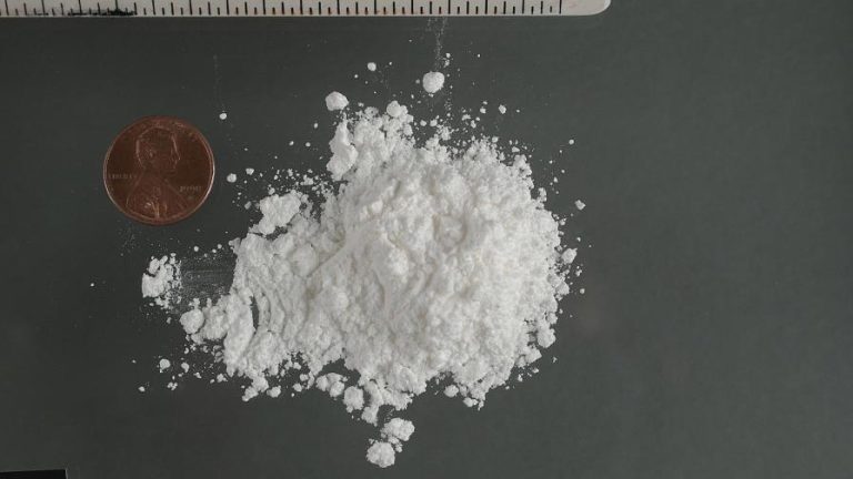 Decomisan en Puerto Rico 204 kilos de cocaína  procedente de República Dominicana