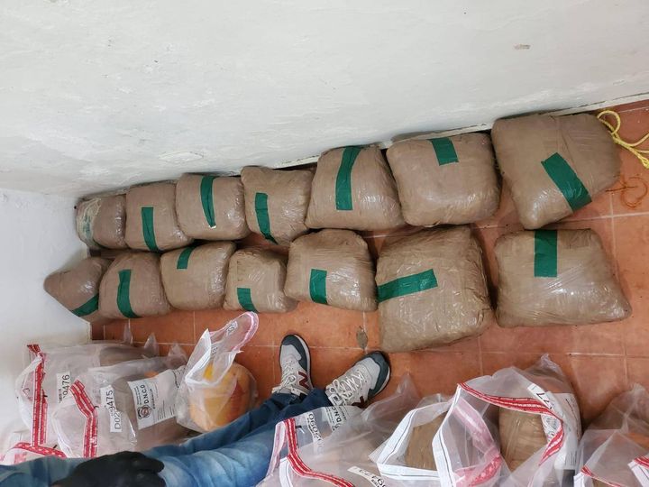 DESMANTELAN RED EN SANTIAGO; APRESAN TRES Y CONFISCAN MÁS DE 500 LIBRAS DE  MARIHUANA