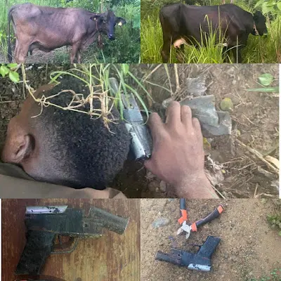 Cuatrero haitiano resulta muerto al enfrentar patrulla del Ejército