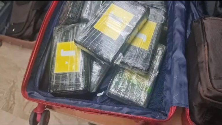 Organismos del Gobierno ocupan 39 paquetes con  cocaina
