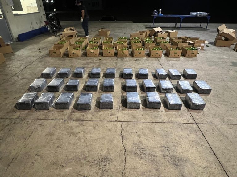 DCNC incauta 201 paquetes de cocaína en puerto de Manzanillo