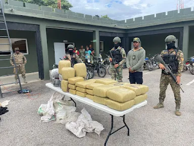 Autoridades incautan 264 libras de marihuana