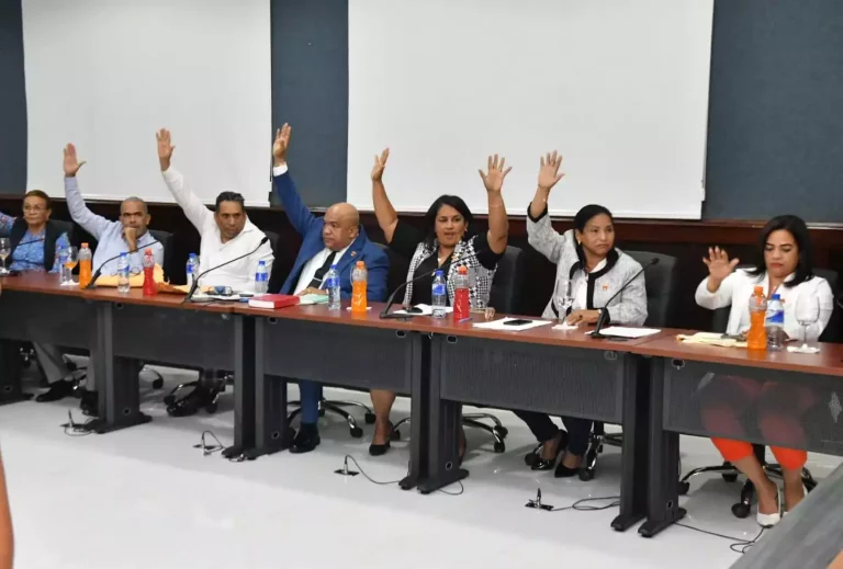 Regidores dejan sin efecto la renuncia de Amparo Custodio