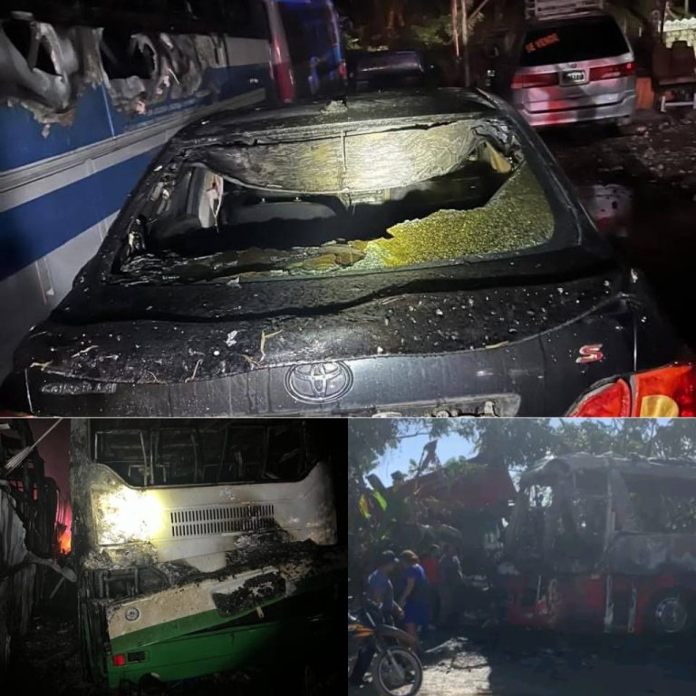 Fuego destruyó varios vehículos en un parqueo