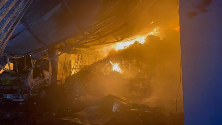 Al menos 20 viviendas destruidas por incendio en Los Platanitos
