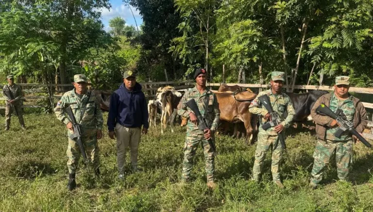 Ejército localiza ganado reportado como robado por haitianos