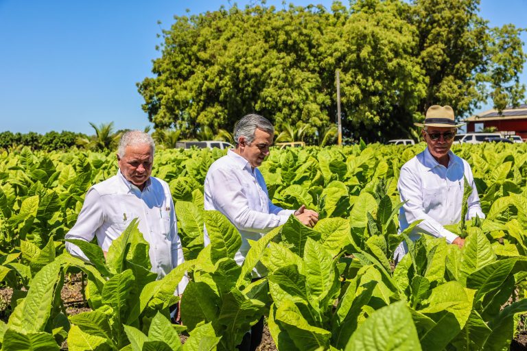 Director INTABACO afirma tabaco dominicano llega a 148 países