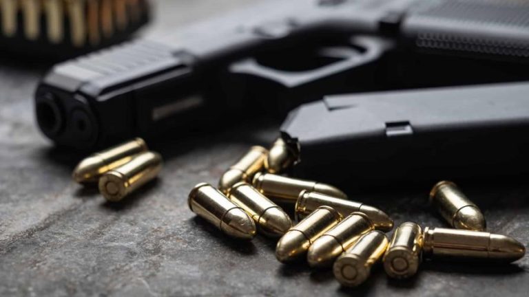 Un criminal muere en un enfrentamiento con la Policía
