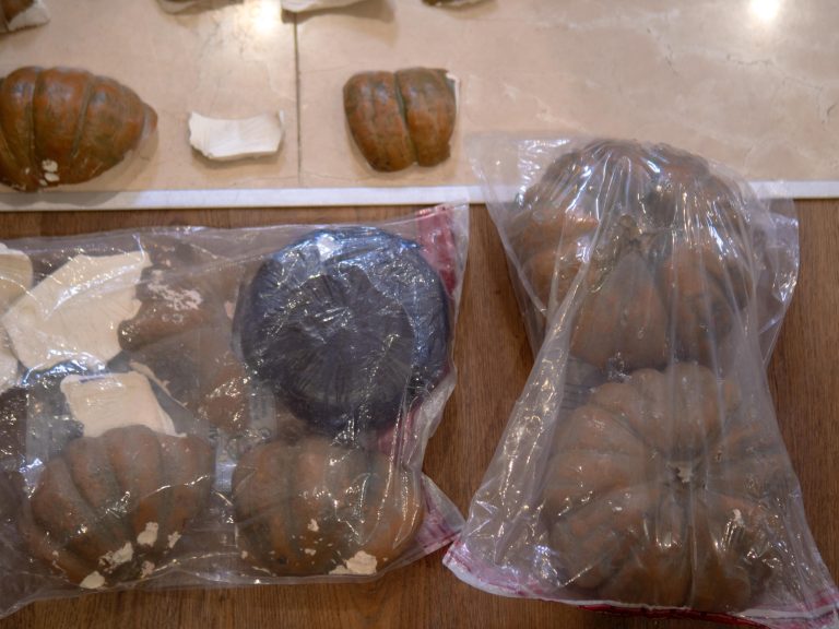DNCD informa cargamento de cocaína confiscado en auyamas plásticas pesó 624 kilos