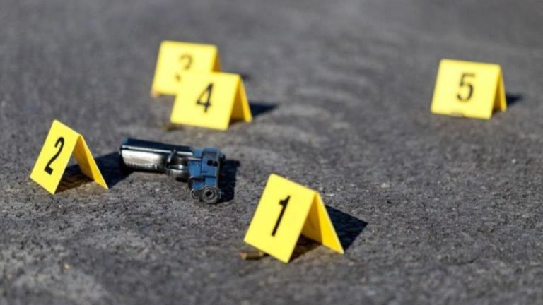 En cinco meces de  este 2025 suman 65 los muertos por intercambios de disparos con la Policia