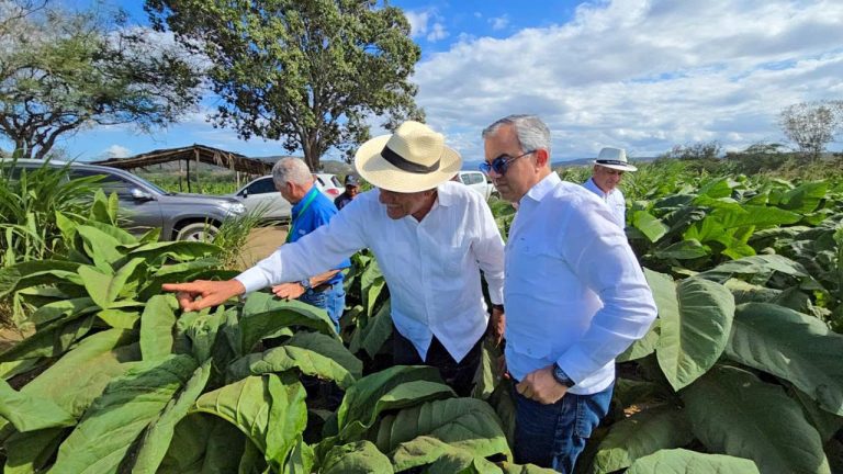 Tabaco dominicano es el segundo producto más exportado del país luego de insumos médicos