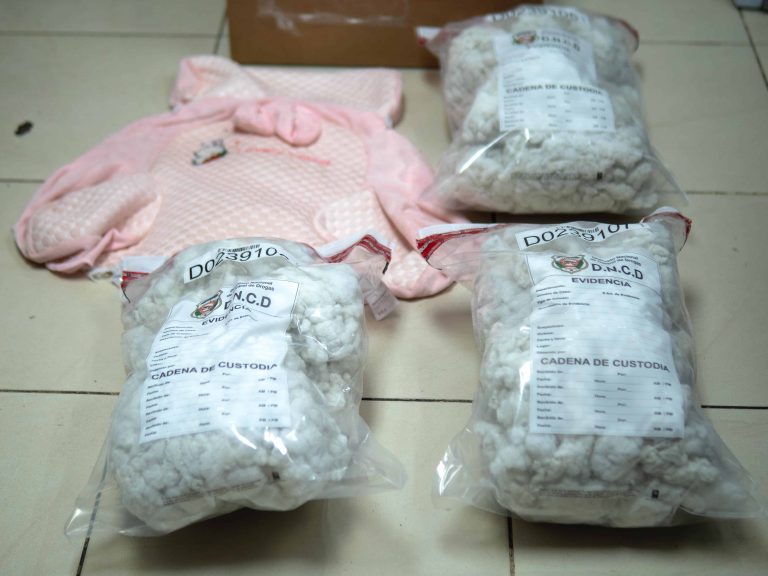 Frustran envío a Australia de peluche relleno de cocaína