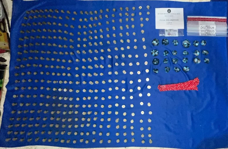 Apresan once e incautan mas de 6 mil gramos de distintos narcoticos
