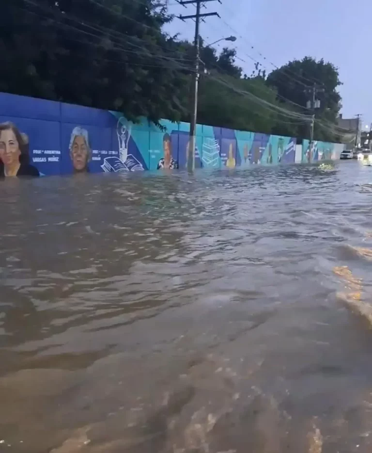 Fuerte lluvia inunda varios sectores de Santiago