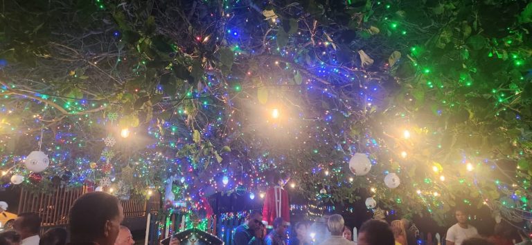 Exitoso encendido Árbol Navideño de la Comunicación