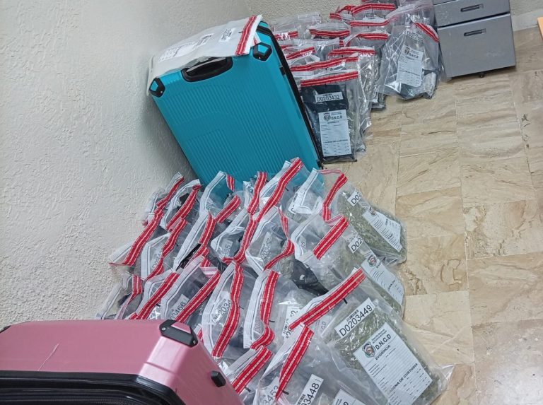 INTERVIENEN DOS MALETAS CARGADAS DE PRESUNTA MARIHUANA EN AEROPUERTO PUNTA CANA
