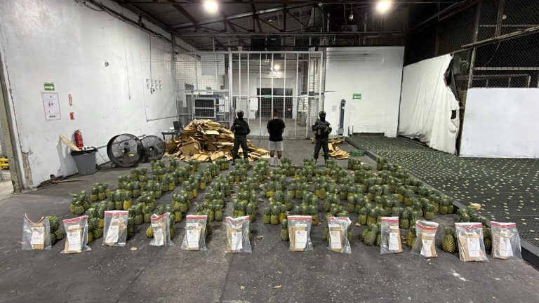 DNCD INTERVIENE CARGA DE PIÑAS CON 121 LÁMINAS DE COCAÍNA